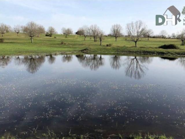 Terreno en venta en Salamanca, Castilla y León