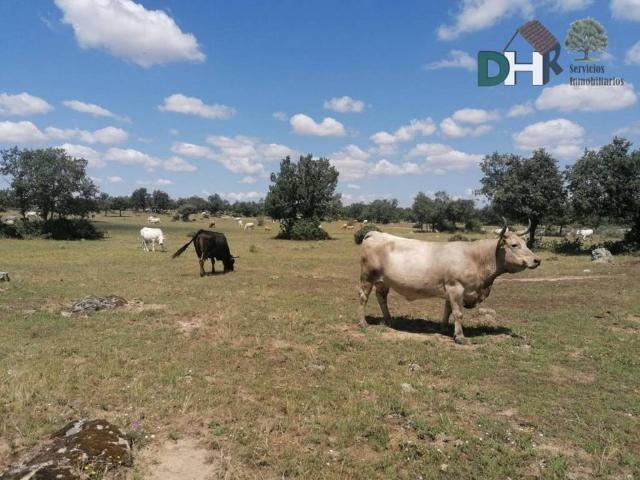 Terreno en venta en Salamanca, Castilla y León