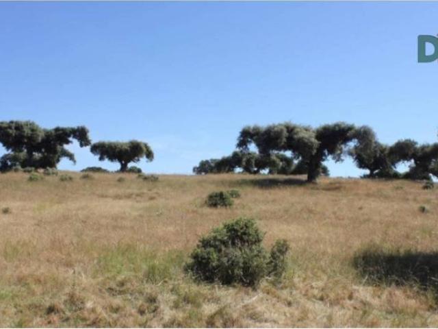 Terreno en venta en Salamanca, Castilla y León