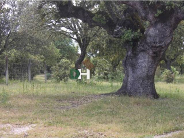 Terreno en venta en Salamanca, Castilla y León