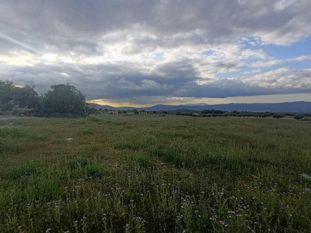 Terreno en venta en Comarca de Loja, Andalucía