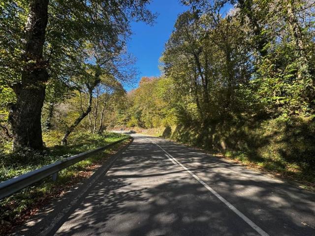 Terreno en venta en Salas, Asturias