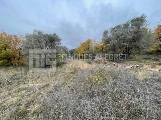 Terreno en venta en Pallars Jussà, Catalunya