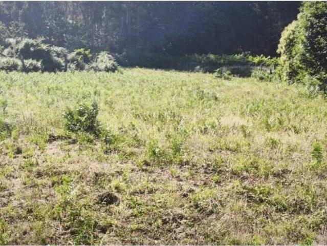 Terreno en venta en Salceda de Caselas, Vigo