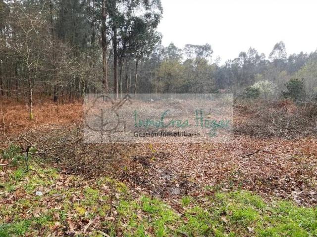 Terreno en venta en Salceda de Caselas, Vigo