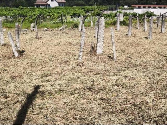 Terreno en venta en Salceda de Caselas, Vigo