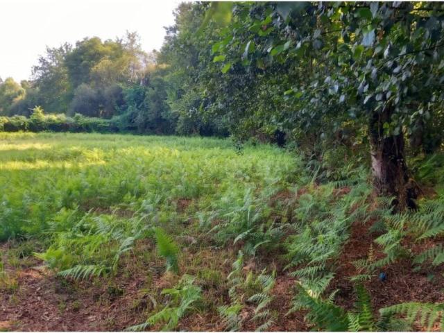 Terreno en venta en Salceda de Caselas, Vigo