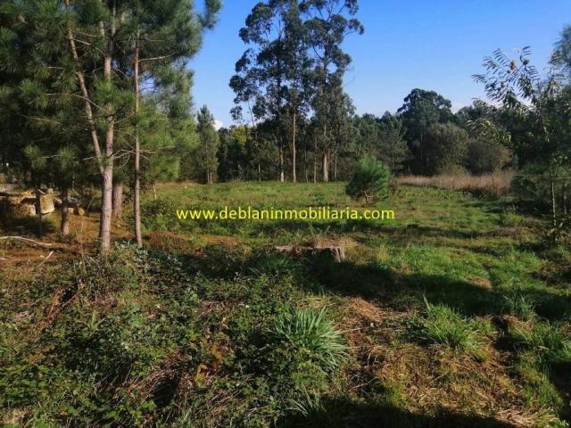 Terreno en venta en Salceda de Caselas, Vigo
