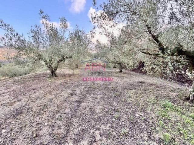 Terreno en venta en la Vall d'Albaida, Valencia