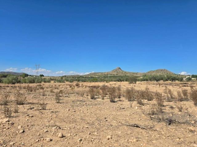 Terreno en venta en Salinas, Alacant / Alicante