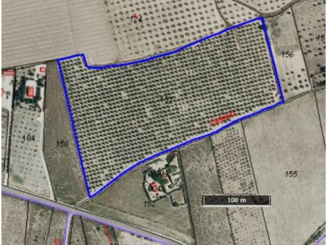 Terreno en venta en l'Alt Vinalopó / El Alto Vinalopó, Valencia
