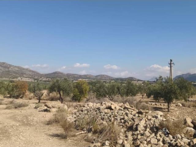 Terreno en venta en l'Alt Vinalopó / El Alto Vinalopó, Valencia
