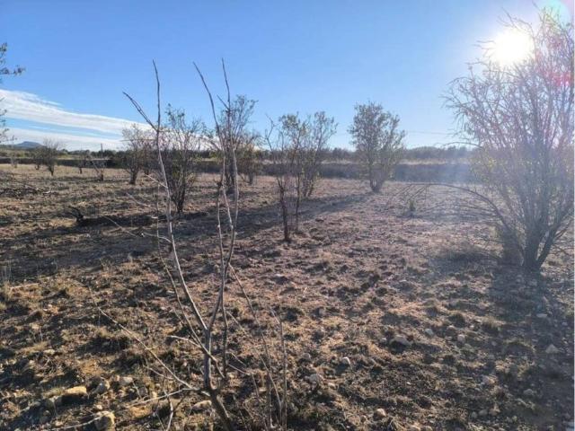 Terreno en venta en Salinas, Alacant / Alicante