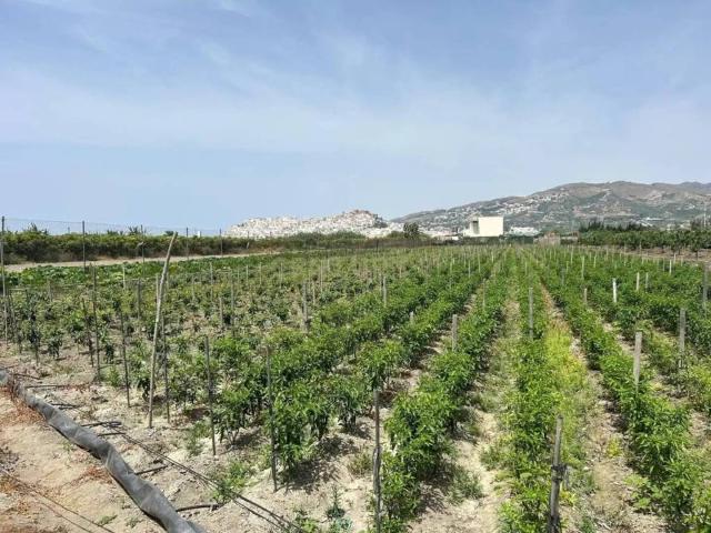 Terreno en venta en Comarca de la Costa Granadina, Andalucía