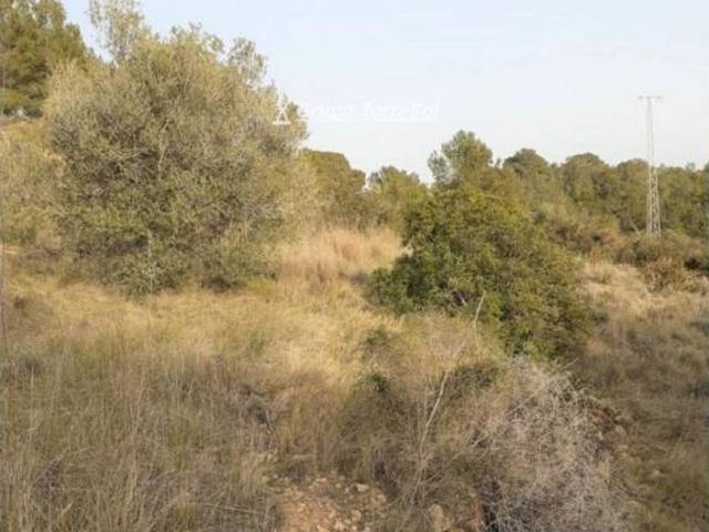 Terreno en venta en Tarragonès, Catalunya