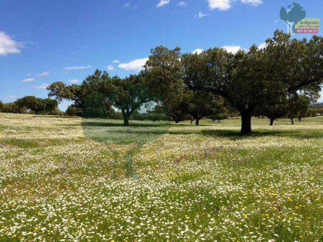 Terreno en venta en Salorino, Extremadura