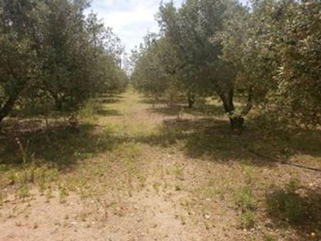 Terreno en venta en Salou