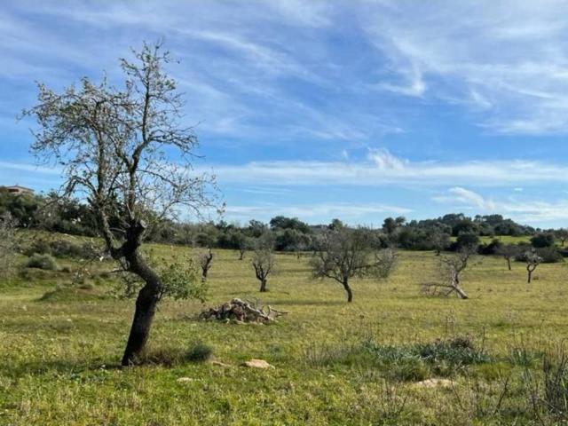 Terreno en venta en Cas Concos des Cavaller, Migjorn