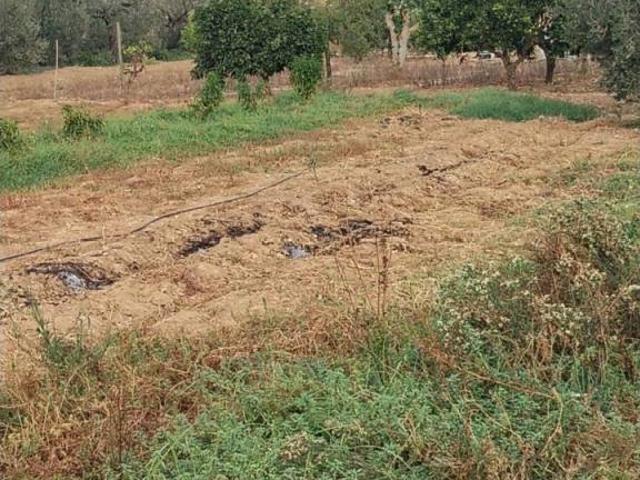 Terreno en venta en Salteras, Sevilla