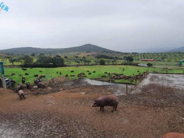 Terreno en venta en Sierra Suroeste, Extremadura