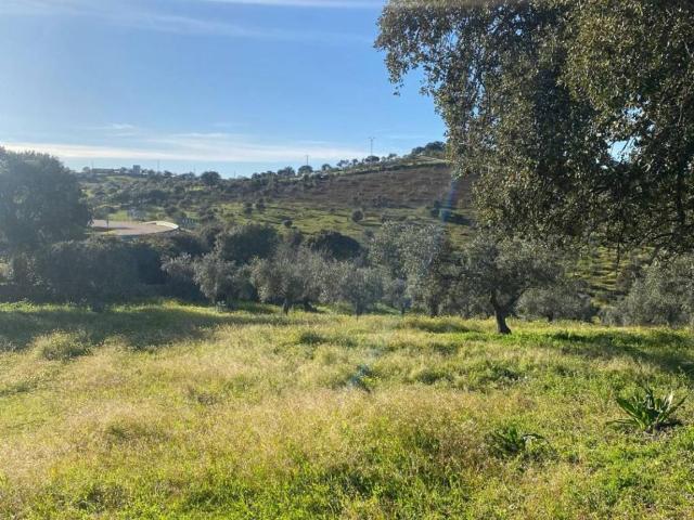 Terreno en venta en Sierra Suroeste, Extremadura