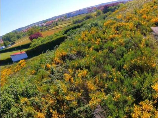 Terreno en venta en San Andrés Del Rabanedo, Castilla y León