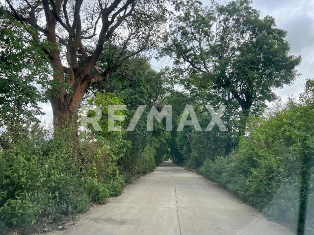Terreno en venta en San Andrés Ixtlahuaca, Oaxaca