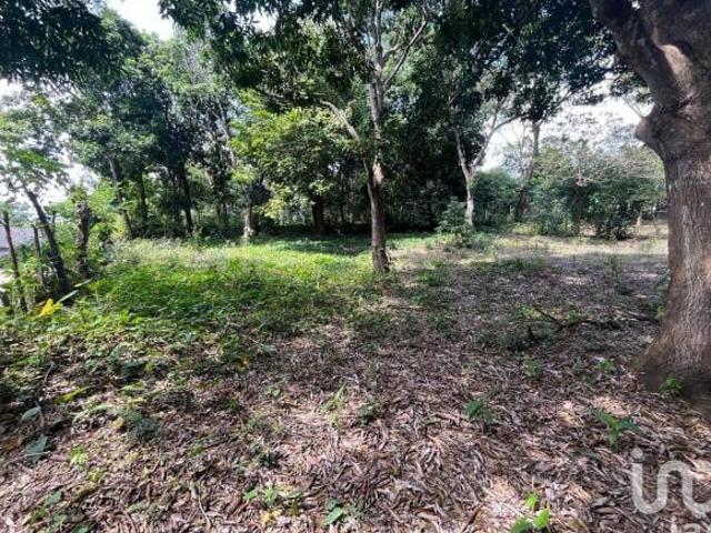 Terreno en venta en San Andrés Tuxtla, Veracruz