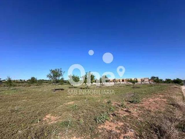 Terreno en venta en el Camp de Túria, Valencia
