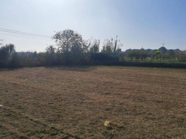 Terreno en venta en el Camp de Túria, Valencia
