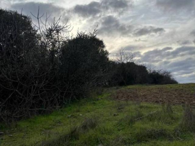 Terreno en venta en El Andévalo, Andalucía