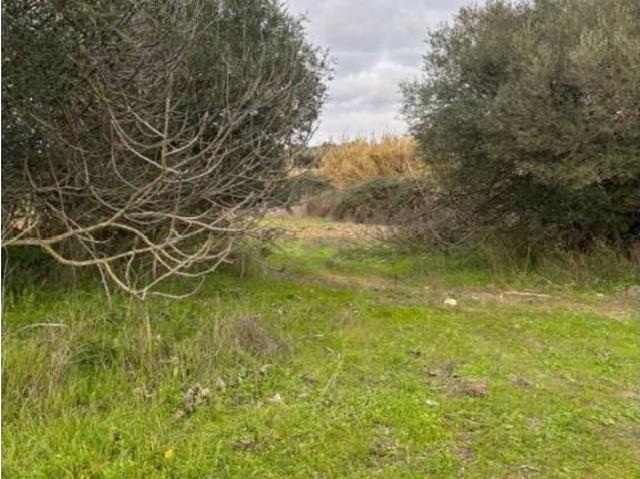 Terreno en venta en El Andévalo, Andalucía