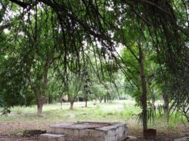 Terreno en venta en San Buenaventura, Coahuila