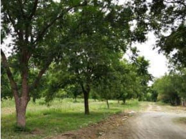 Terreno en Venta en San Buenaventura, Coahuila