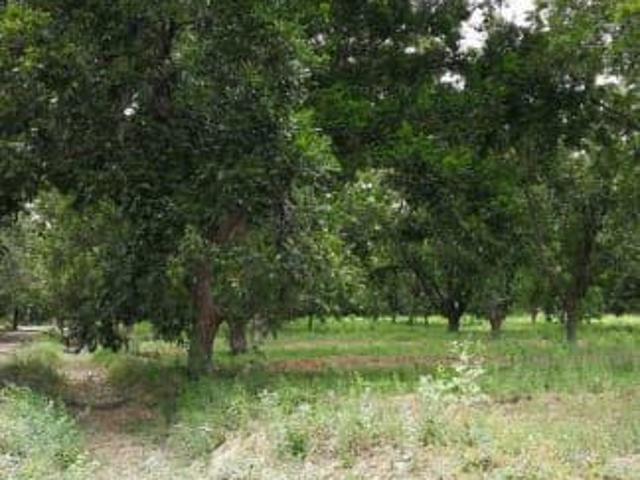 Terreno en Venta en San Buenaventura, Coahuila