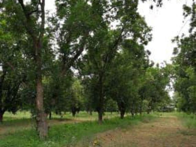 Terreno en Venta en San Buenaventura, Coahuila