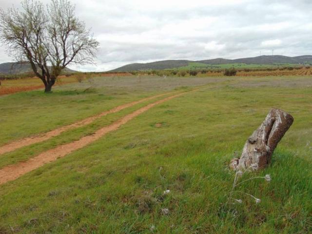 Terreno en venta en San Carlos Del Valle, Castilla-La Mancha