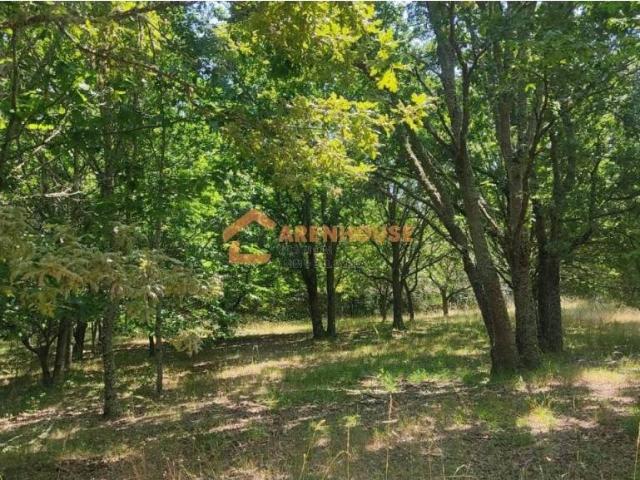 Terreno en venta en Ourense, Galicia