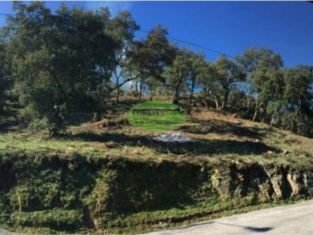 Terreno en venta en Ourense, Galicia