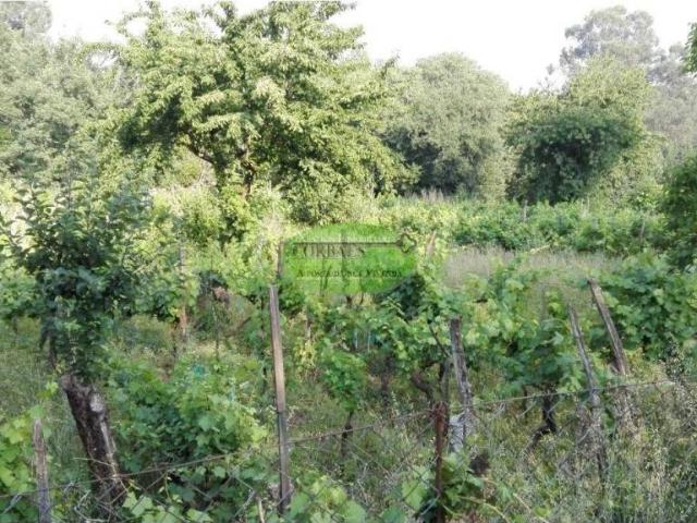Terreno en venta en Ourense, Galicia