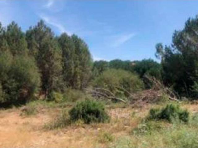 Terreno en venta en San Cibrao das Viñas, Ourense