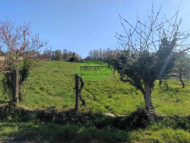 Terreno en venta en Ourense, Galicia