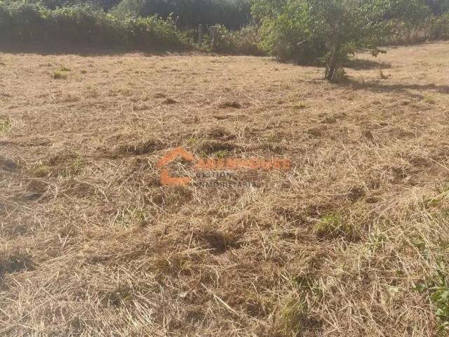Terreno en venta en San Cibrao Das Viñas