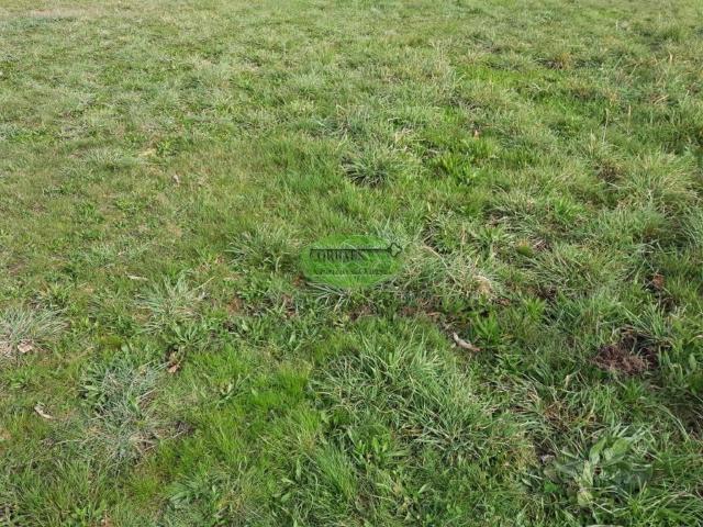 Terreno en venta en Ourense, Galicia