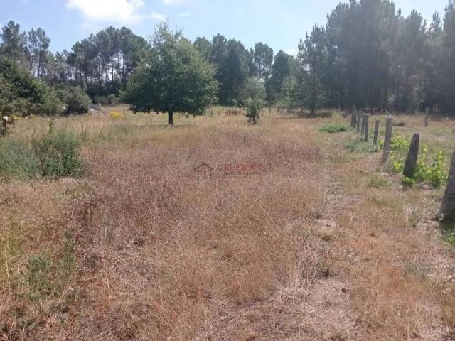 Terreno en venta en Ourense, Galicia