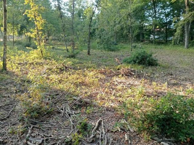 Terreno en venta en Ourense, Galicia