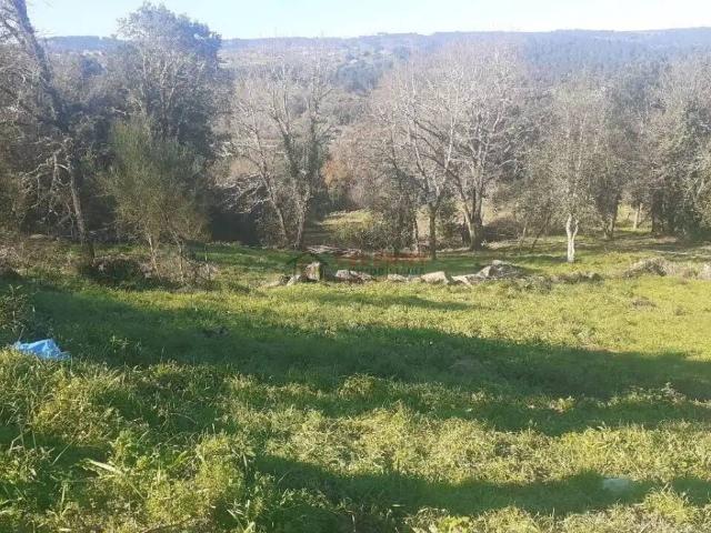 Terreno en venta en Ourense, Galicia