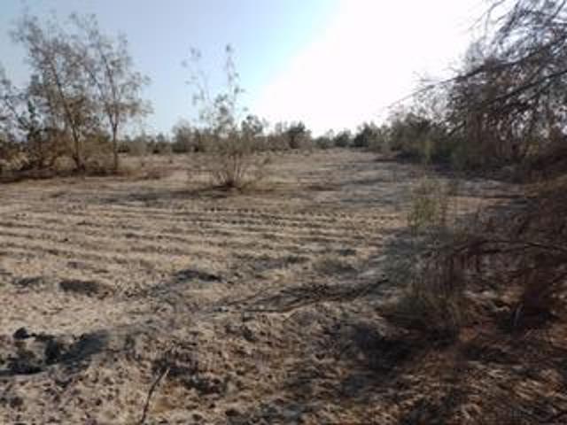 Terreno venta en San Clemente, Ica