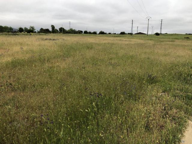Terreno en venta en San Cristóbal De Segovia, Castilla y León