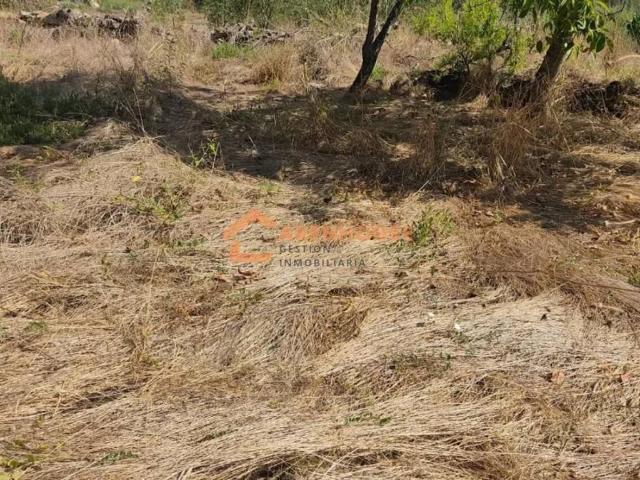 Terreno en venta en San Cristovo De Cea